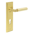 This is an image showing the Frelan - Westminster Door Handle Din Euro Backplate Satin Brass available to order from T.H. Wiggans Ironmongery in Kendal