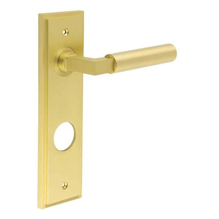 This is an image showing the Frelan - Westminster Door Handle Din Bathroom Backplate Satin Brass available to order from T.H. Wiggans Ironmongery in Kendal