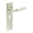 This is an image showing the Frelan - Westminster Door Handle Euro Backplate Satin Nickel available to order from T.H. Wiggans Ironmongery in Kendal