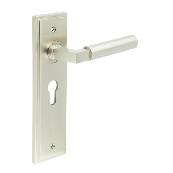 This is an image showing the Frelan - Westminster Door Handle Euro Backplate Satin Nickel available to order from T.H. Wiggans Ironmongery in Kendal