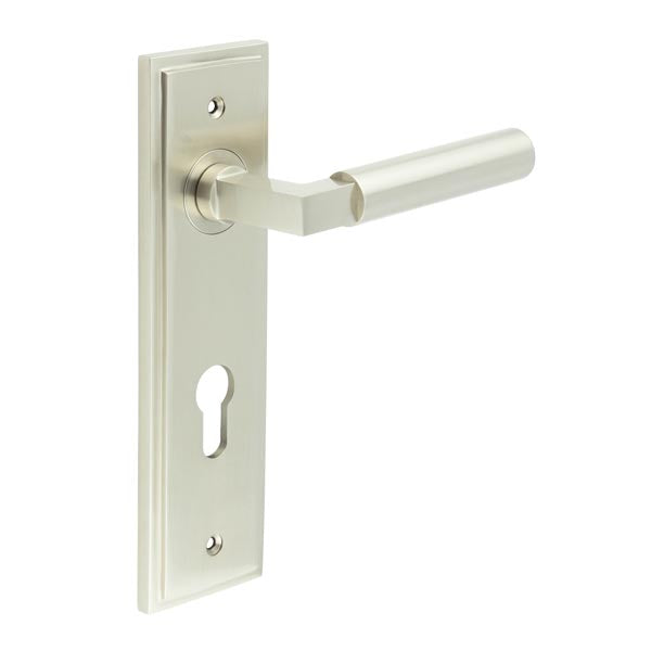 This is an image showing the Frelan - Westminster Door Handle Din Euro Backplate Satin Nickel available to order from T.H. Wiggans Ironmongery in Kendal