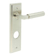 This is an image showing the Frelan - Westminster Door Handle Din Bathroom Backplate Satin Nickel available to order from T.H. Wiggans Ironmongery in Kendal