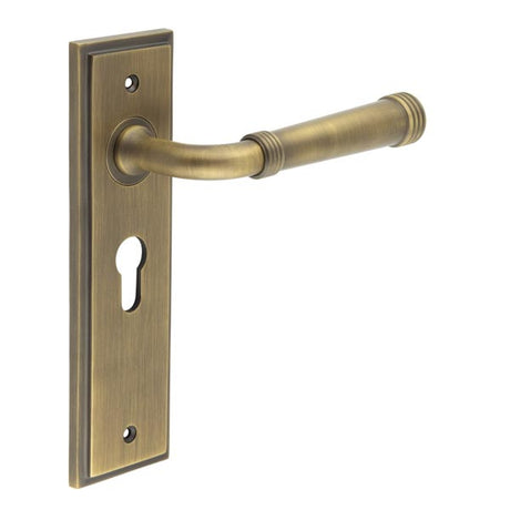 This is an image showing the Frelan - Highgate Door Handle Euro Backplate Antique Brass available to order from T.H. Wiggans Ironmongery in Kendal