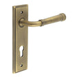 This is an image showing the Frelan - Highgate Door Handle Din Euro Backplate Satin Brass available to order from T.H. Wiggans Ironmongery in Kendal