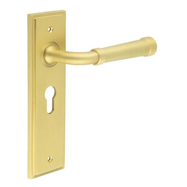 This is an image showing the Frelan - Highgate Door Handle Euro Backplate Satin Brass available to order from T.H. Wiggans Ironmongery in Kendal