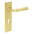 This is an image showing the Frelan - Highgate Door Handle Din Euro Backplate Satin Brass available to order from T.H. Wiggans Ironmongery in Kendal