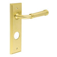 This is an image showing the Frelan - Highgate Door Handle Din Bathroom Backplate Satin Brass available to order from T.H. Wiggans Ironmongery in Kendal