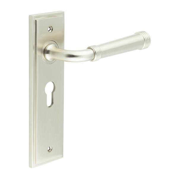 This is an image showing the Frelan - Highgate Door Handle Euro Backplate Satin Nickel available to order from T.H. Wiggans Ironmongery in Kendal