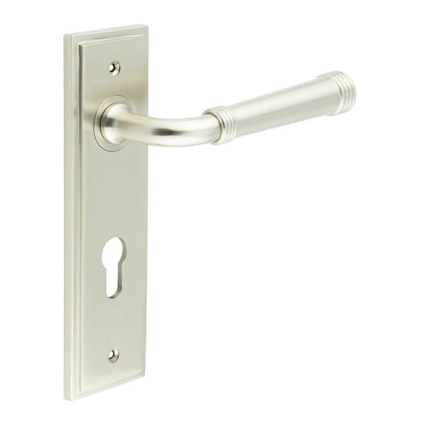 This is an image showing the Frelan - Highgate Door Handle Din Euro Backplate Satin Nickel available to order from T.H. Wiggans Ironmongery in Kendal