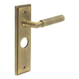 This is an image showing the Frelan - Piccadilly Door Handle Bathroom Backplate Antique Brass available to order from T.H. Wiggans Ironmongery in Kendal