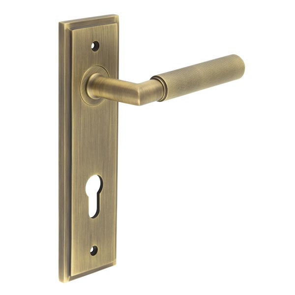 This is an image showing the Frelan - Piccadilly Door Handle Din Euro Backplate Antique Brass available to order from T.H. Wiggans Ironmongery in Kendal