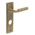 This is an image showing the Frelan - Piccadilly Door Handle Din Bathroom Backplate Antique Brass available to order from T.H. Wiggans Ironmongery in Kendal