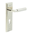 This is an image showing the Frelan - Piccadilly Door Handle Din Euro Backplate Polished Nickel available to order from T.H. Wiggans Ironmongery in Kendal