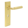 This is an image showing the Frelan - Piccadilly Door Handle Lock Backplate Satin Brass available to order from T.H. Wiggans Ironmongery in Kendal