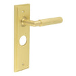 This is an image showing the Frelan - Piccadilly Door Handle Bathroom Backplate Satin Brass available to order from T.H. Wiggans Ironmongery in Kendal