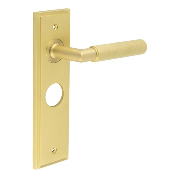 This is an image showing the Frelan - Piccadilly Door Handle Bathroom Backplate Satin Brass available to order from T.H. Wiggans Ironmongery in Kendal