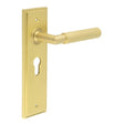 This is an image showing the Frelan - Piccadilly Door Handle Euro Backplate Satin Brass available to order from T.H. Wiggans Ironmongery in Kendal