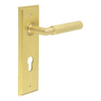 This is an image showing the Frelan - Piccadilly Door Handle Din Euro Backplate Satin Brass available to order from T.H. Wiggans Ironmongery in Kendal