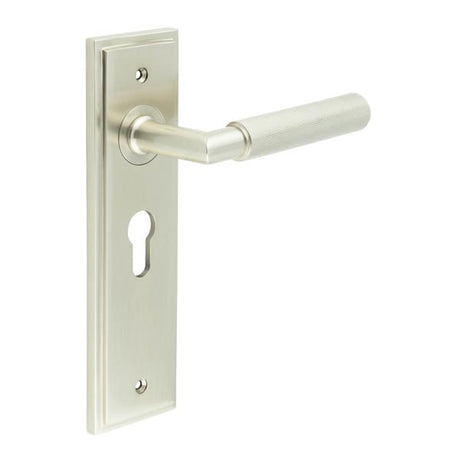 This is an image showing the Frelan - Piccadilly Door Handle Euro Backplate Satin Nickel available to order from T.H. Wiggans Ironmongery in Kendal