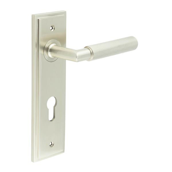 This is an image showing the Frelan - Piccadilly Door Handle Din Euro Backplate Satin Nickel available to order from T.H. Wiggans Ironmongery in Kendal