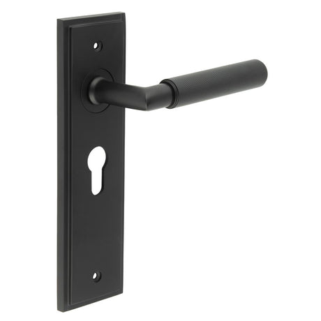 This is an image showing the Frelan - Piccadilly Door Handle Euro Backplate Matt Black available to order from T.H. Wiggans Ironmongery in Kendal