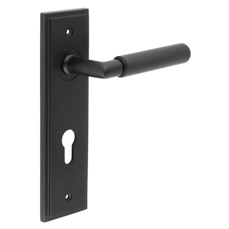 This is an image showing the Frelan - Piccadilly Door Handle Din Euro Backplate Matt Black available to order from T.H. Wiggans Ironmongery in Kendal