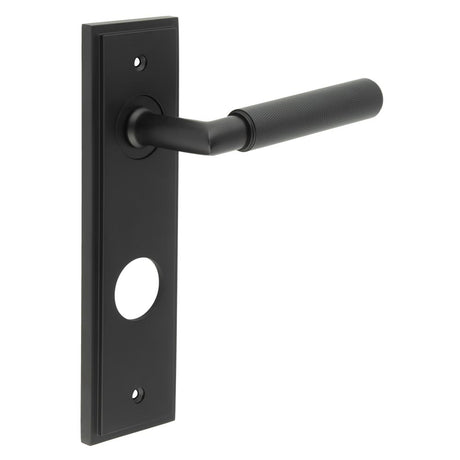 This is an image showing the Frelan - Piccadilly Door Handle Din Bathroom Backplate Matt Black available to order from T.H. Wiggans Ironmongery in Kendal