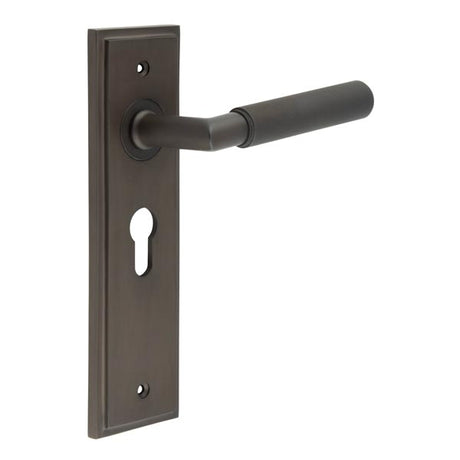 This is an image showing the Frelan - Piccadilly Door Handle Euro Backplate Dark Bronze available to order from T.H. Wiggans Ironmongery in Kendal