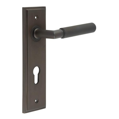 This is an image showing the Frelan - Piccadilly Door Handle Din Euro Backplate Dark Bronze available to order from T.H. Wiggans Ironmongery in Kendal