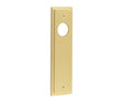 This is an image showing the Burlington - Latch Plate Choices available to order from T.H. Wiggans Ironmongery in Kendal