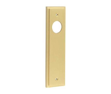 This is an image showing the Burlington - Latch Plate Choices available to order from T.H. Wiggans Ironmongery in Kendal