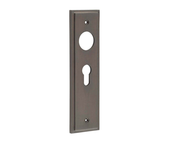 This is an image showing the Burlington - Euro Profile Lock Plate Choices available to order from T.H. Wiggans Ironmongery in Kendal