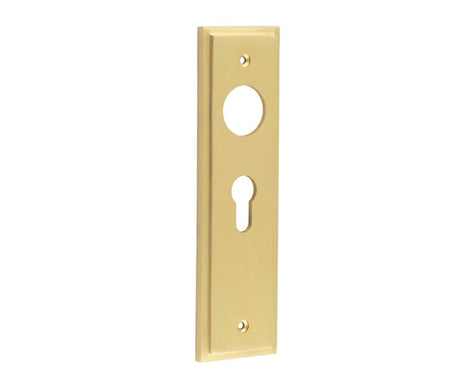 This is an image showing the Burlington - Euro Profile Lock Plate Choices available to order from T.H. Wiggans Ironmongery in Kendal