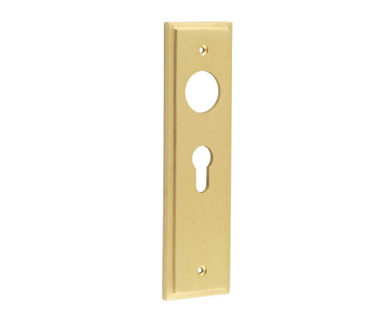 This is an image showing the Burlington - Euro Profile Lock Plate Choices available to order from T.H. Wiggans Ironmongery in Kendal