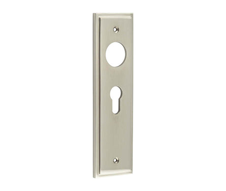 This is an image showing the Burlington - Euro Profile Lock Plate Choices available to order from T.H. Wiggans Ironmongery in Kendal