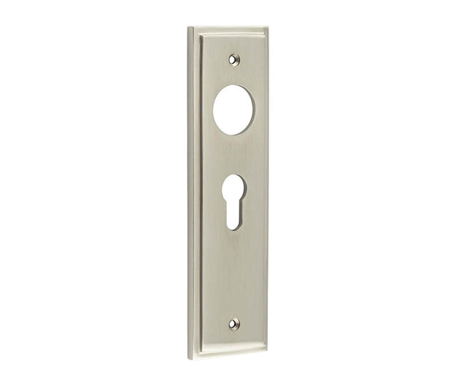 This is an image showing the Burlington - Euro Profile Lock Plate Choices available to order from T.H. Wiggans Ironmongery in Kendal