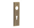 This is an image showing the Burlington - Din Euro Profile Lock Plate Choices available to order from T.H. Wiggans Ironmongery in Kendal