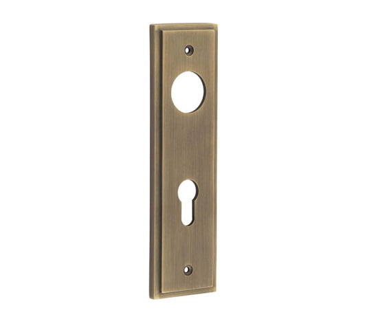 This is an image showing the Burlington - Din Euro Profile Lock Plate Choices available to order from T.H. Wiggans Ironmongery in Kendal