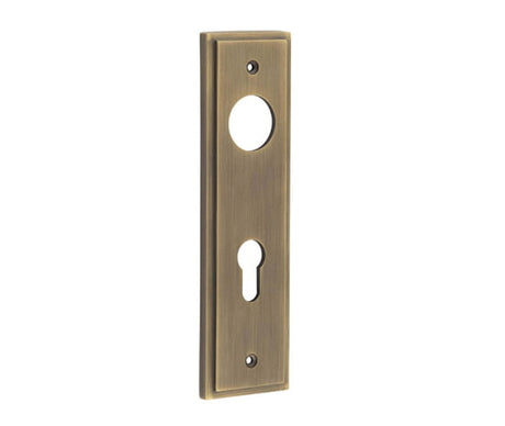 This is an image showing the Burlington - Din Euro Profile Lock Plate Choices available to order from T.H. Wiggans Ironmongery in Kendal