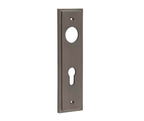 This is an image showing the Burlington - Din Euro Profile Lock Plate Choices available to order from T.H. Wiggans Ironmongery in Kendal