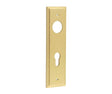 This is an image showing the Burlington - Din Euro Profile Lock Plate Choices available to order from T.H. Wiggans Ironmongery in Kendal