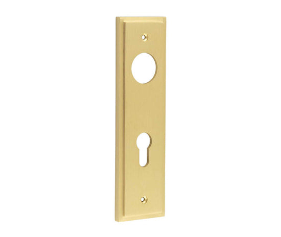 This is an image showing the Burlington - Din Euro Profile Lock Plate Choices available to order from T.H. Wiggans Ironmongery in Kendal