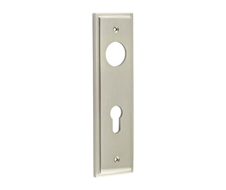 This is an image showing the Burlington - Din Euro Profile Lock Plate Choices available to order from T.H. Wiggans Ironmongery in Kendal