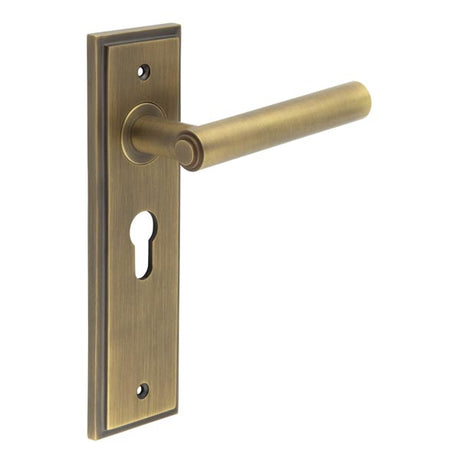 This is an image showing the Frelan - Richmond Door Handle Euro Backplate Antique Brass available to order from T.H. Wiggans Ironmongery in Kendal