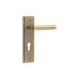 This is an image showing the Frelan - Richmond Door Handle Din Euro Backplate Antique Brass available to order from T.H. Wiggans Ironmongery in Kendal