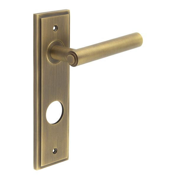 This is an image showing the Frelan - Richmond Door Handle Din Bathroom Backplate Antique Brass available to order from T.H. Wiggans Ironmongery in Kendal