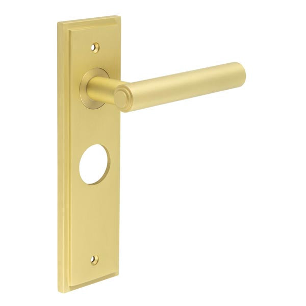 This is an image showing the Frelan - Richmond Door Handle Bathroom Backplate Satin Brass available to order from T.H. Wiggans Ironmongery in Kendal