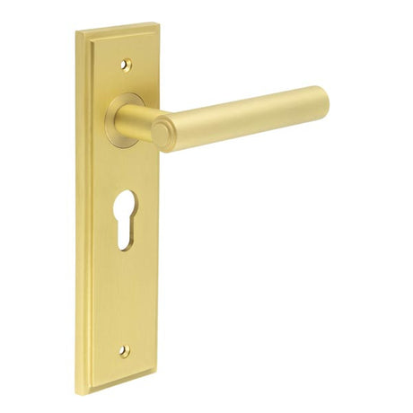 This is an image showing the Frelan - Richmond Door Handle Euro Backplate Satin Brass available to order from T.H. Wiggans Ironmongery in Kendal