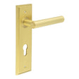 This is an image showing the Frelan - Richmond Door Handle Din Euro Backplate Satin Brass available to order from T.H. Wiggans Ironmongery in Kendal