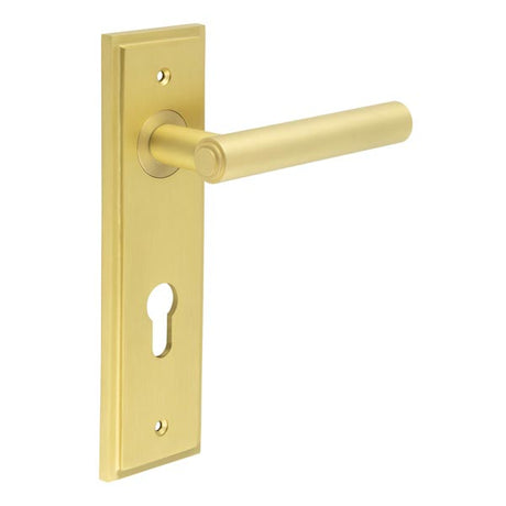 This is an image showing the Frelan - Richmond Door Handle Din Euro Backplate Satin Brass available to order from T.H. Wiggans Ironmongery in Kendal